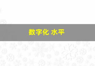 数字化 水平